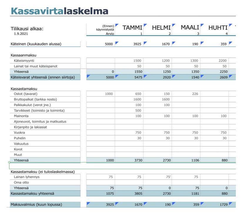 CapitalBox-Kassavirtalaskelma